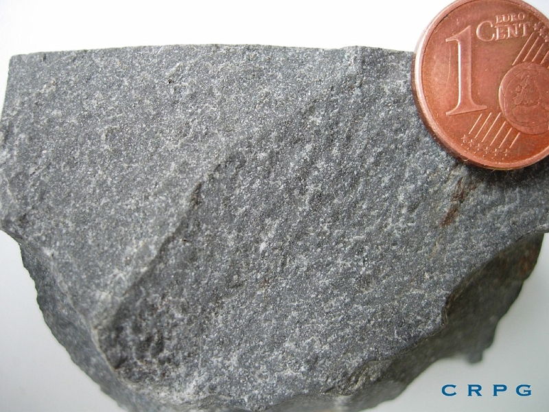 lagarenne18.jpg - Un fragment de cornéenne fraiche en gros plan.