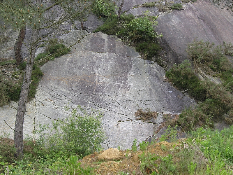 saintgermain03.JPG - Les figures observées à la surface de la roche.