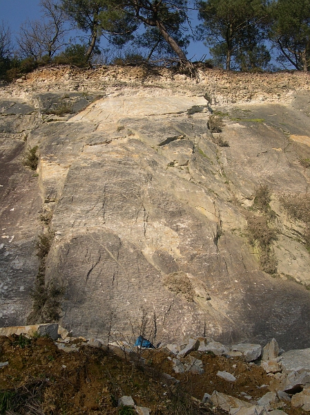 saintgermain09.JPG - La roche présente dans la carrière est un grès : le grès armoricain.