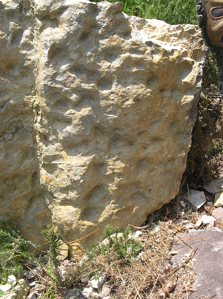 saintgermain21.JPG - Avez-vous assez d'arguments pour comprendre la formation de la roche observée.