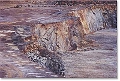 lagarenne04