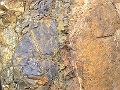 lagarenne22