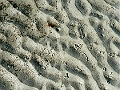 saintgermain14