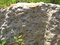 saintgermain17