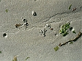 saintgermain20